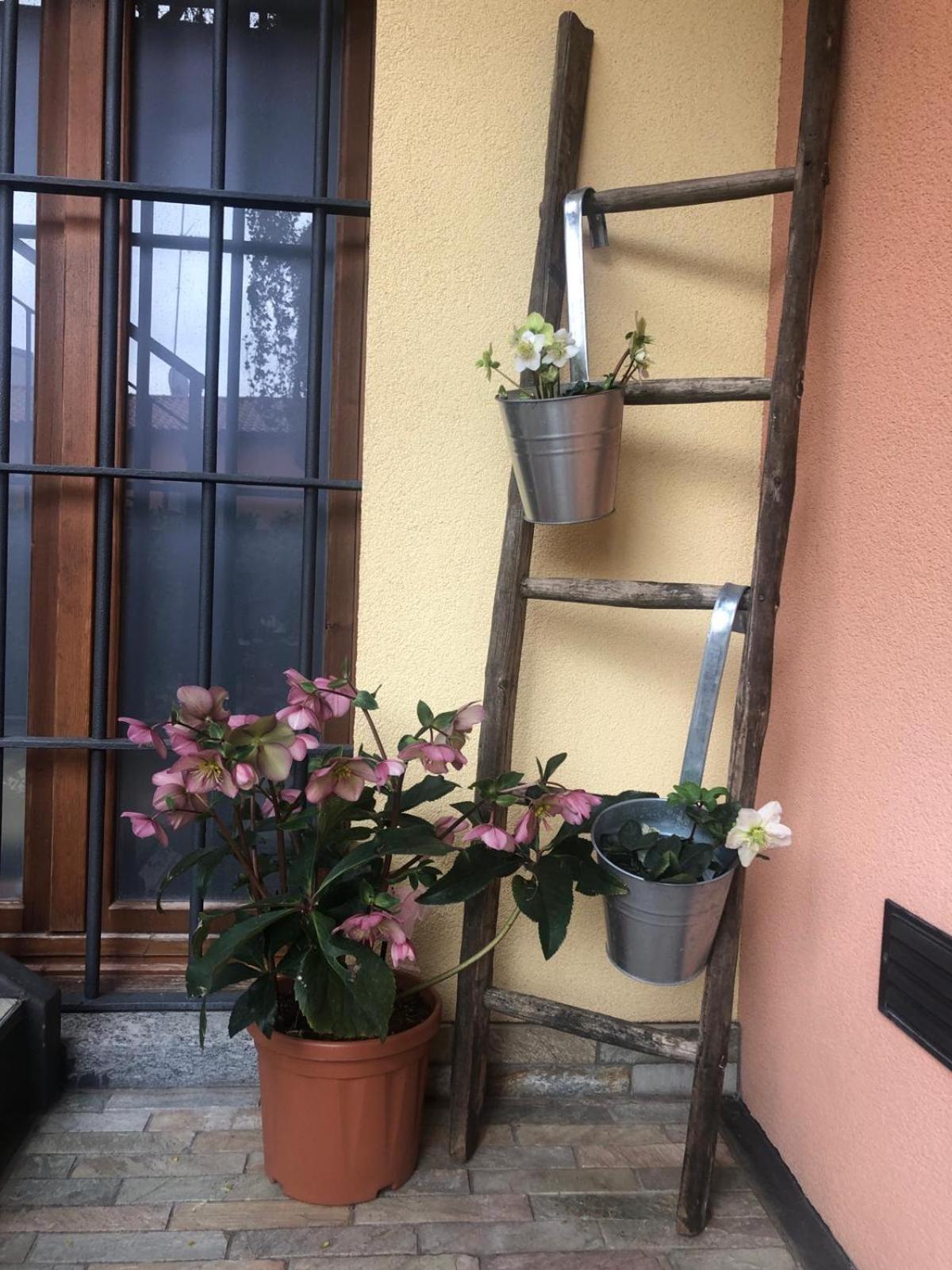 A Due Passi Dal Castello Bed & Breakfast Somma Lombardo Bagian luar foto